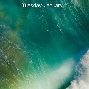 Meet your Posher, Meckenzie